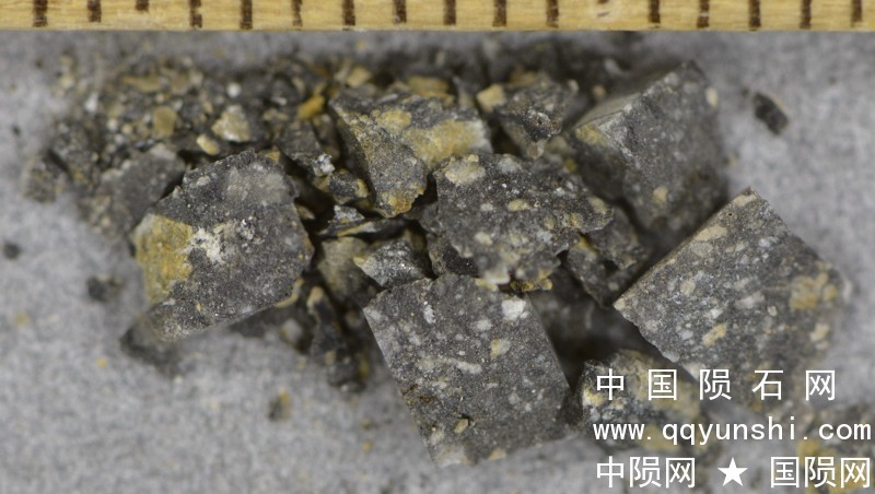 lm_nwa8701_DSC2344.jpg