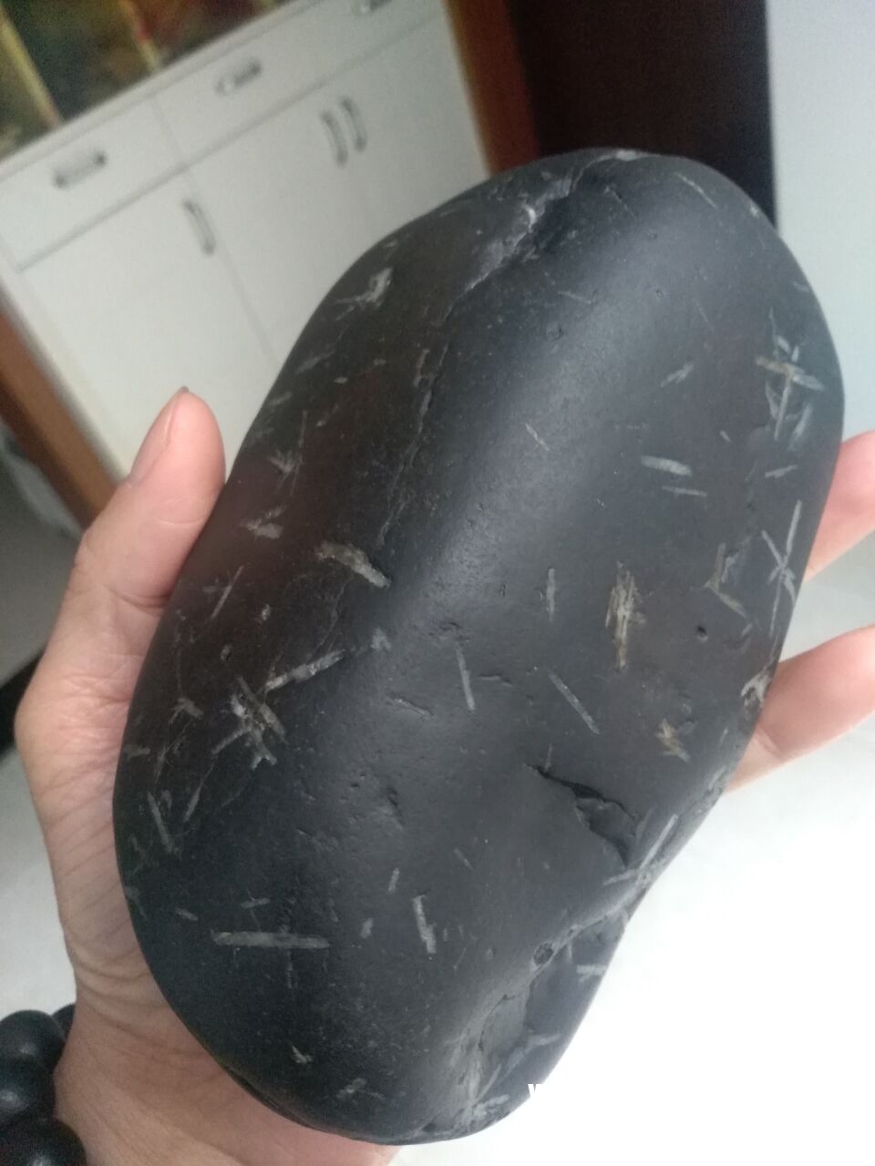 QQ图片20180508183343.jpg