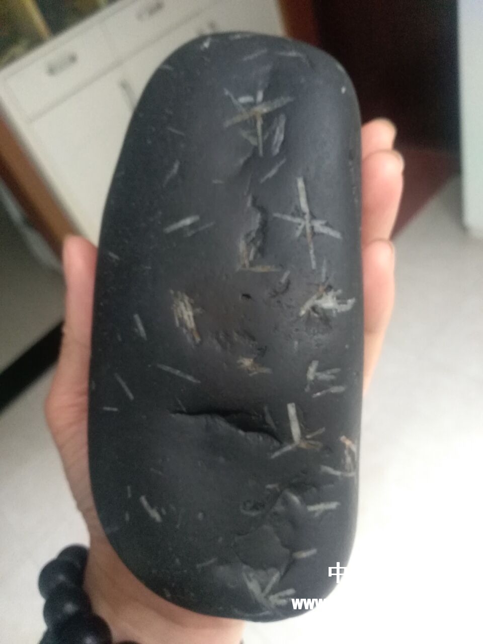 QQ图片20180508183402.jpg