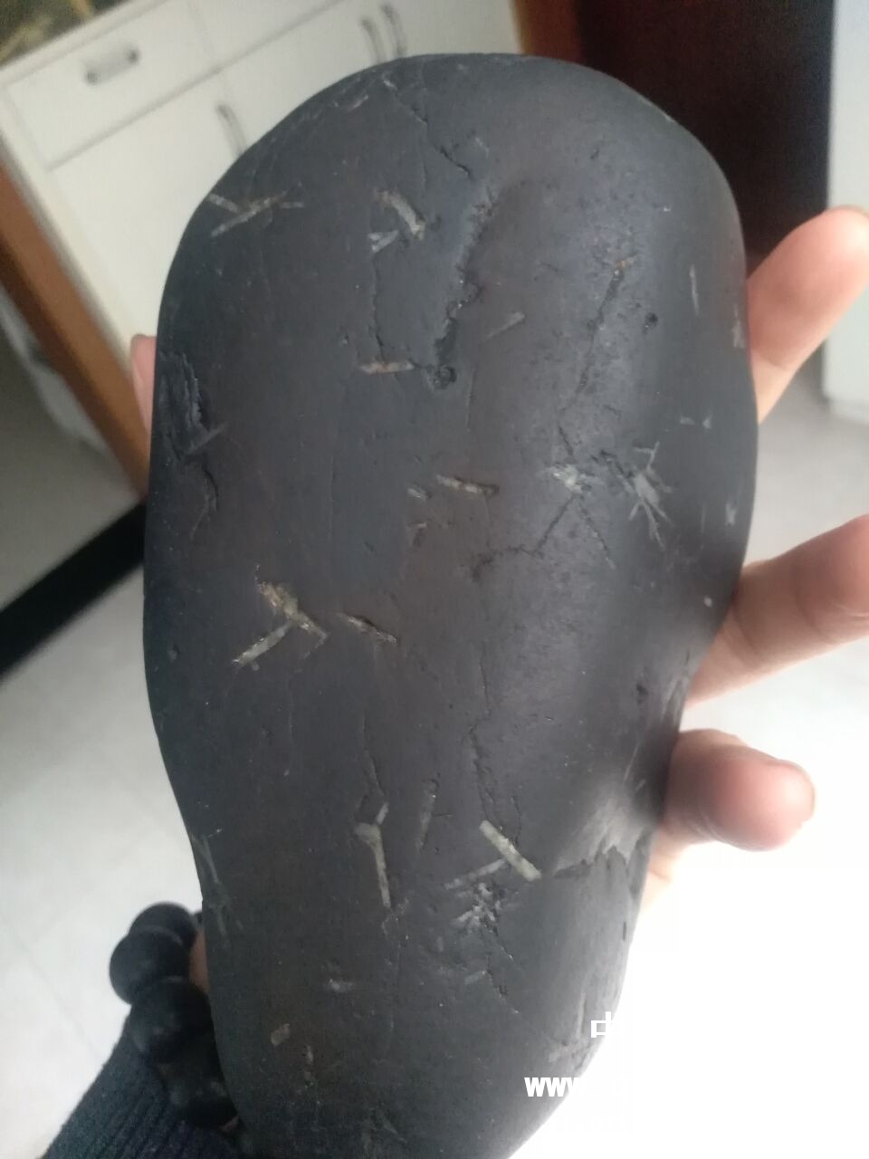 QQ图片20180508183409.jpg