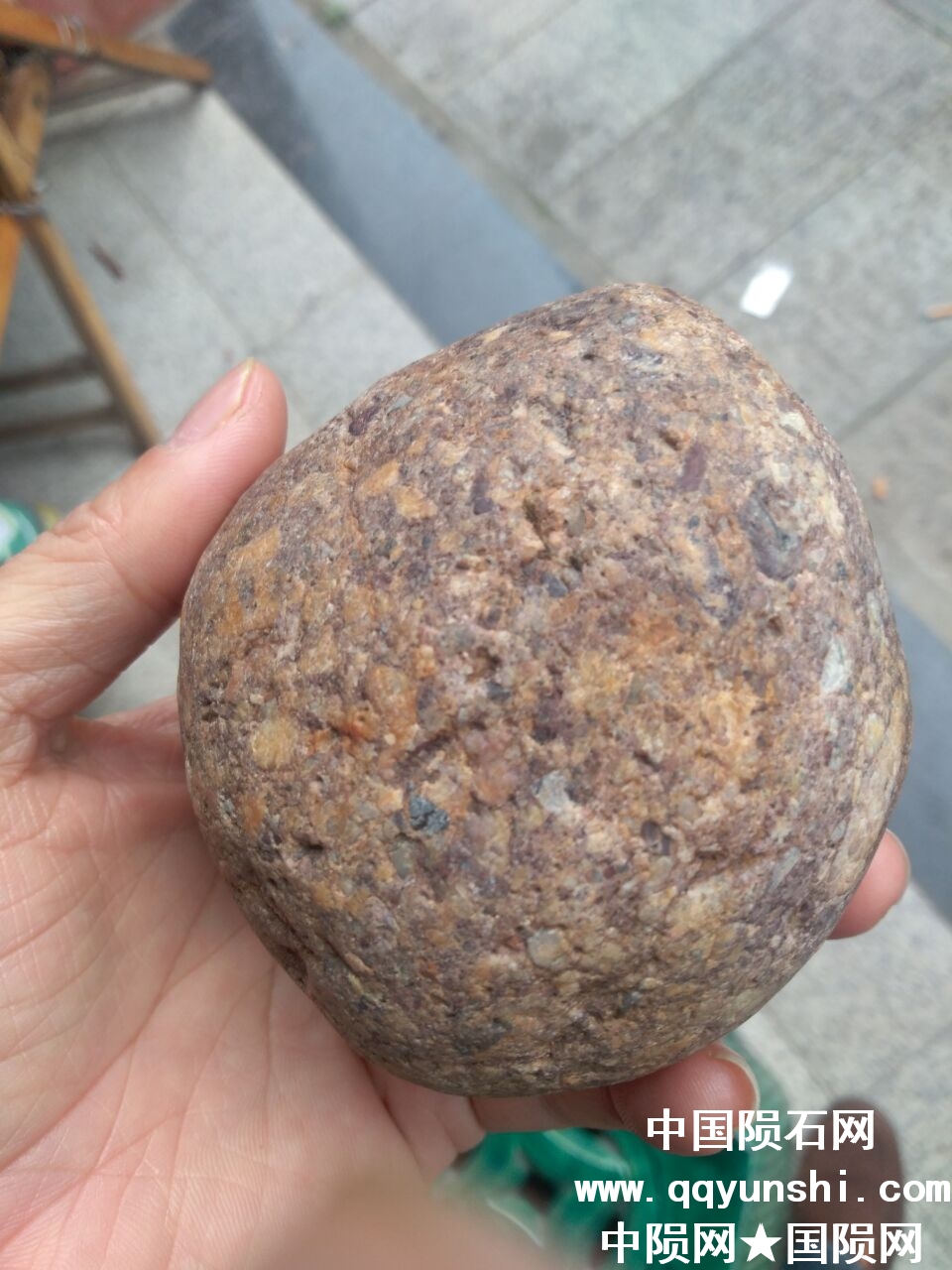 QQ图片20180508183931.jpg