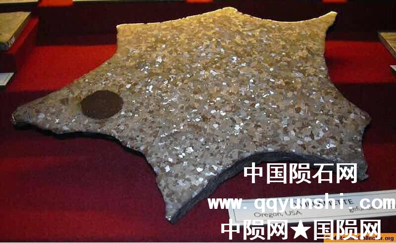 QQ图片20090830022449.jpg