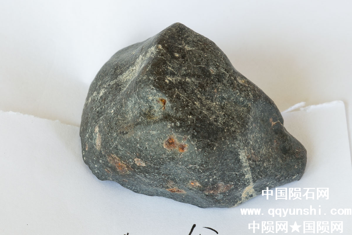 _D8A0181.jpg