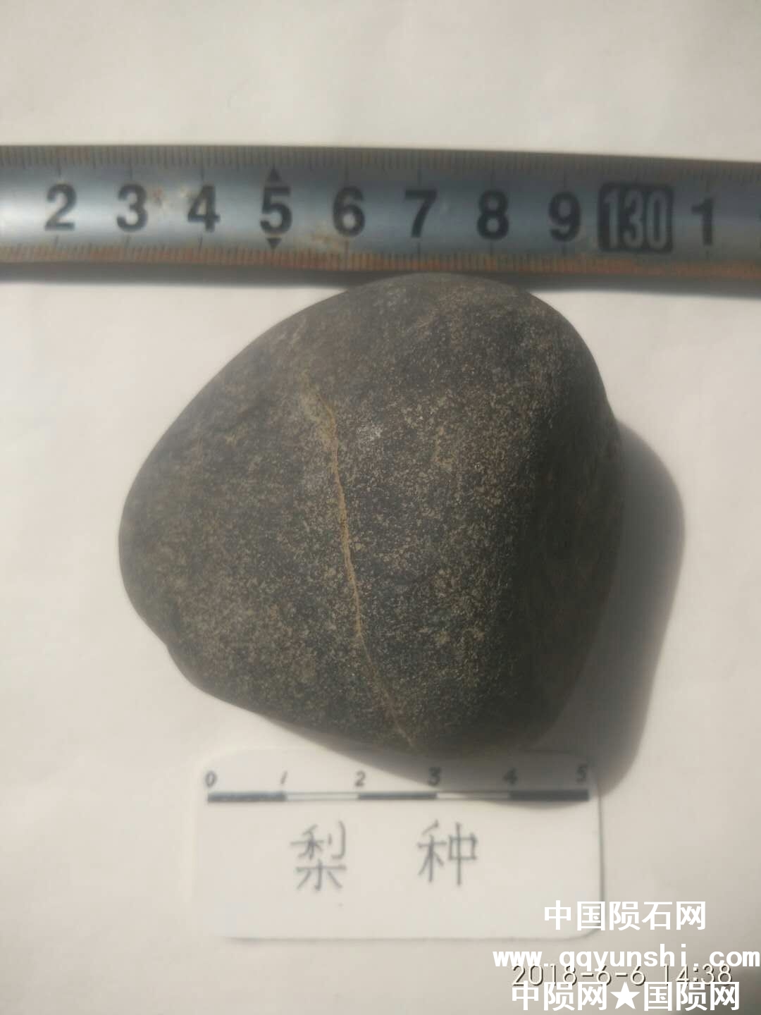 强磁44 216克.jpg