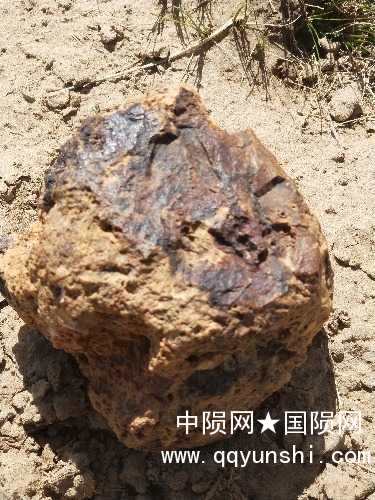 IMG20180615160312.jpg
