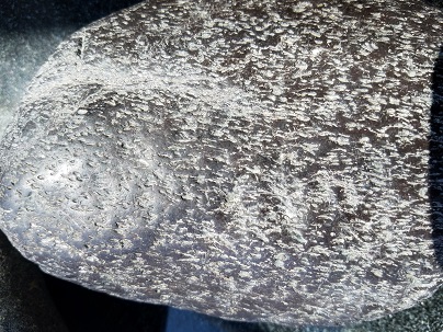 20180619_163144.jpg