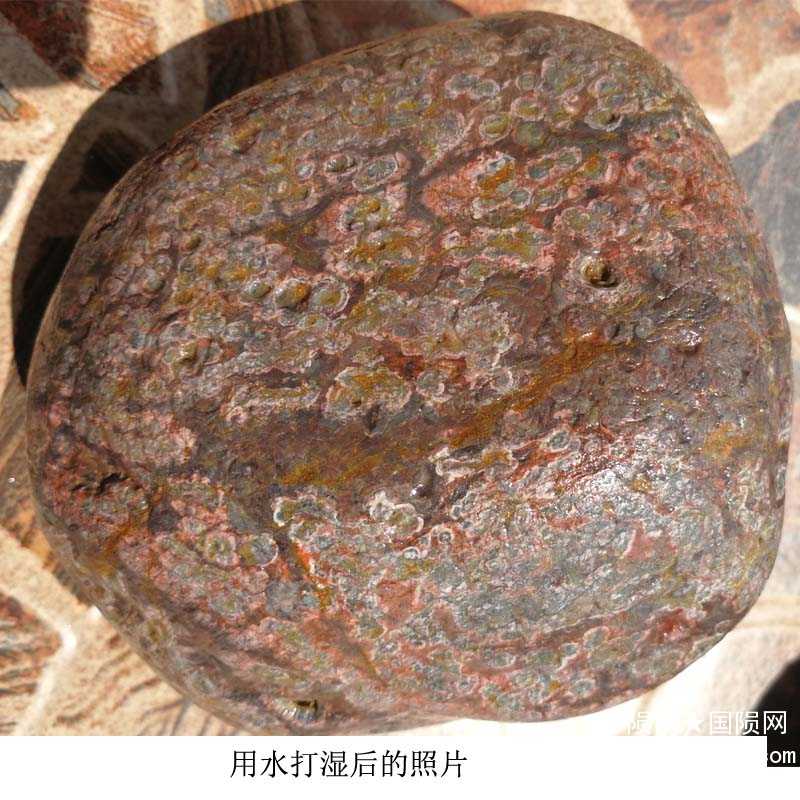 yunshi20056 拷贝.jpg