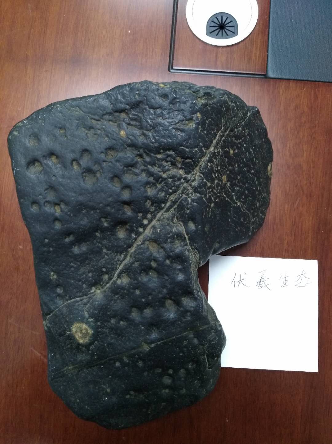 微信图片_20180911192146.jpg