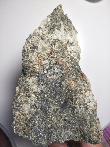 IMG20180913095511.jpg