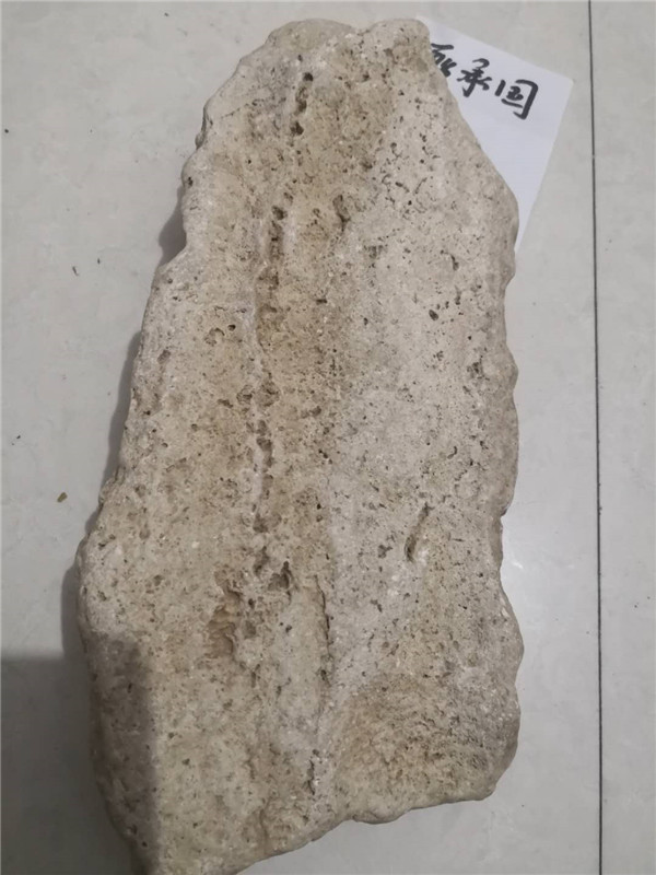 背面特征。1779克。无磁性。