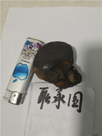 132549070726011521_副本.jpg