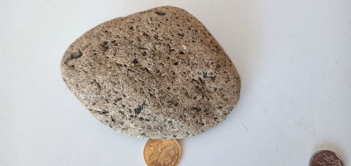 IMG20181122125047.jpg