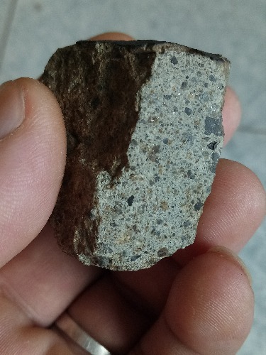IMG20181124103301.jpg