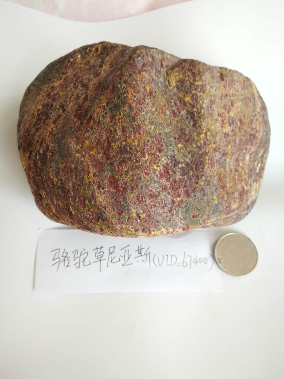 微信图片_201812081331284.jpg