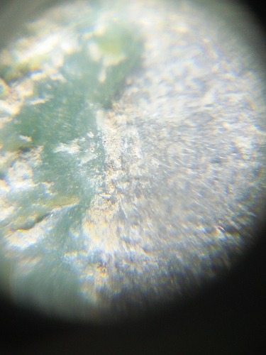 IMG20190105203435.jpg