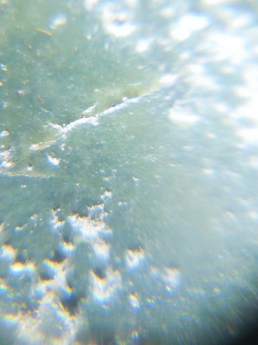 IMG20190105203649.jpg