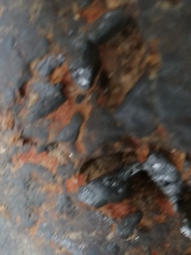 IMG_20190216_140113.jpg