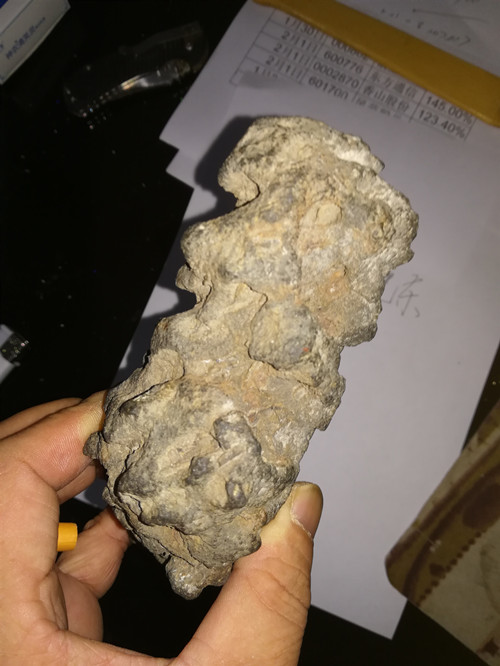 扁面
