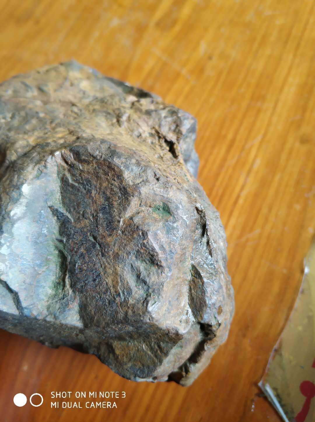 尾侧另一角度照