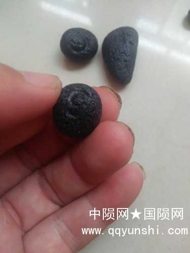 IMG20190825114821.jpg
