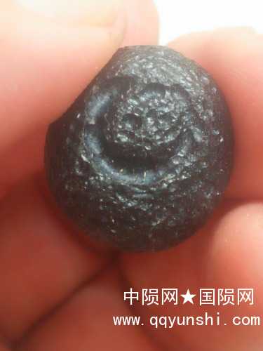 IMG20190825114944.jpg