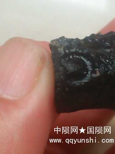 IMG20190825173102.jpg