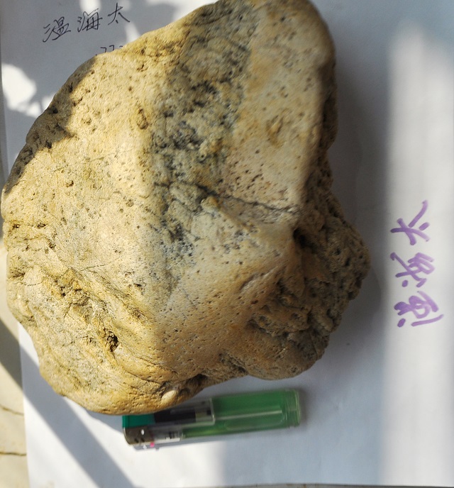 DSC_0599.JPG