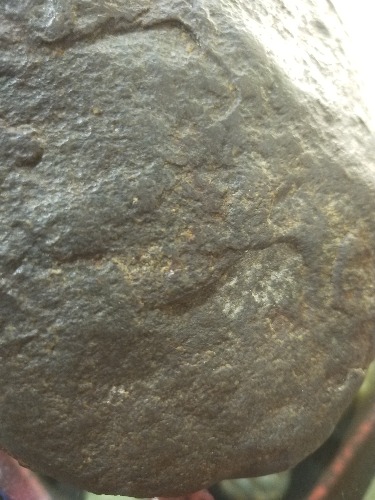 IMG20190916110937.jpg