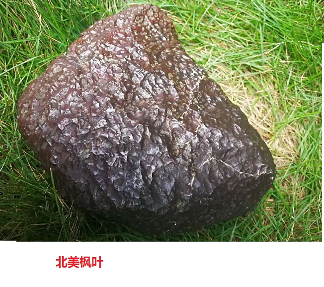 石0.jpg