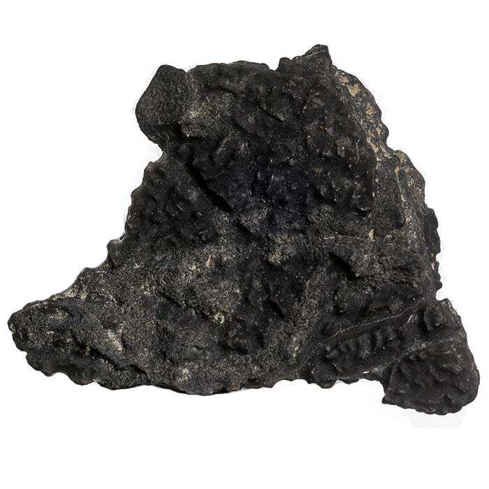 texture1.jpg