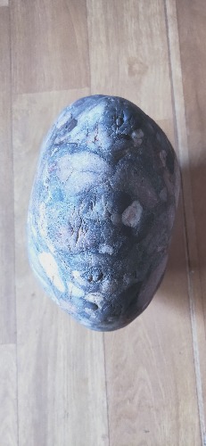 IMG20191026093422.jpg