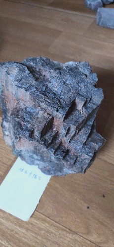 IMG20191110123228.jpg