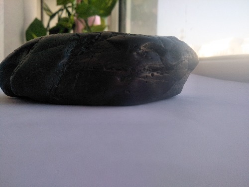 IMG20191112160239.jpg