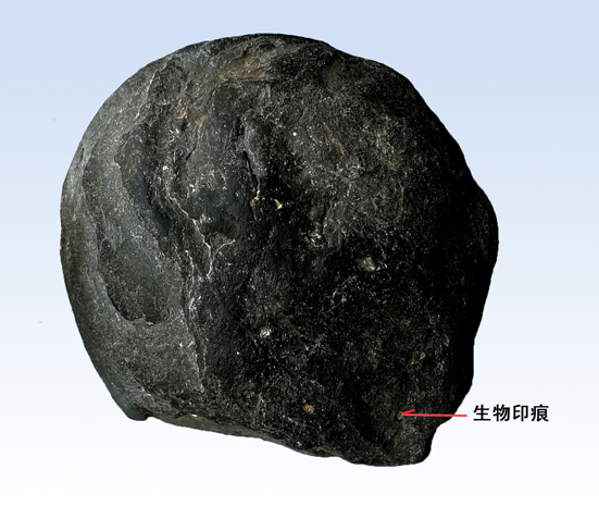 无磁性