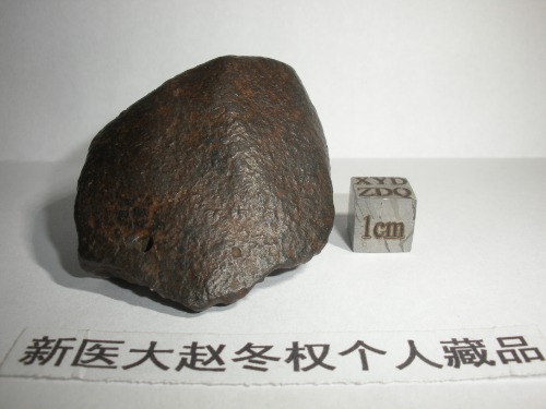 DSCN0040.JPG
