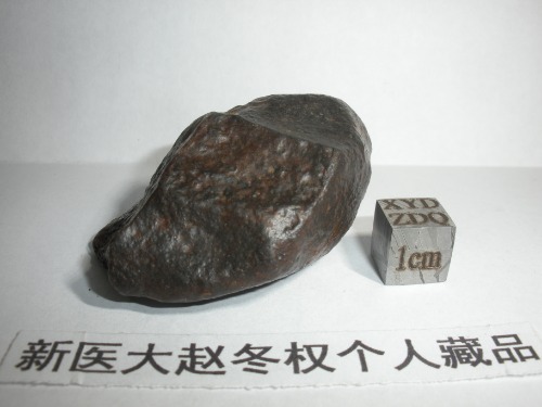 DSCN0042.JPG
