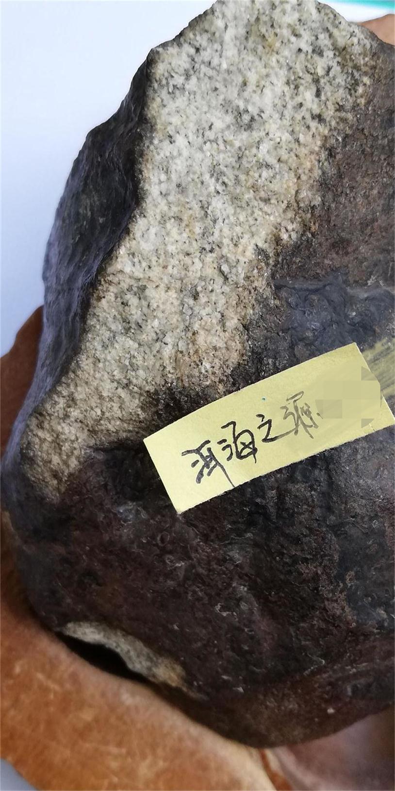IMG_20190503_163529_看图王(1).jpg