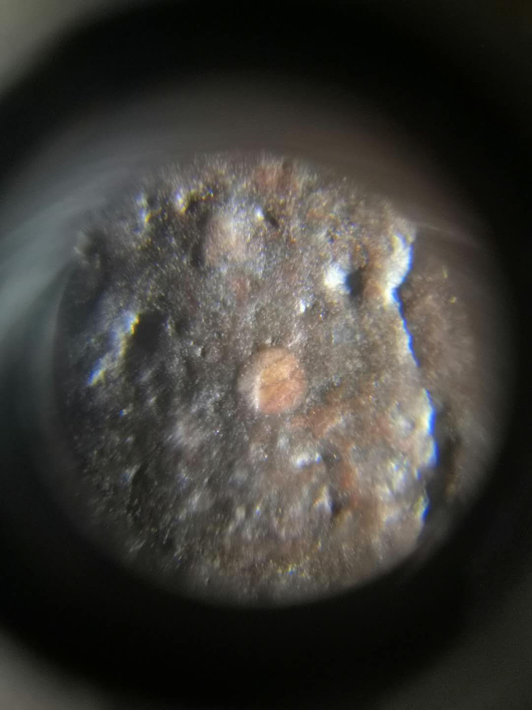 mmexport1589215716875.jpg