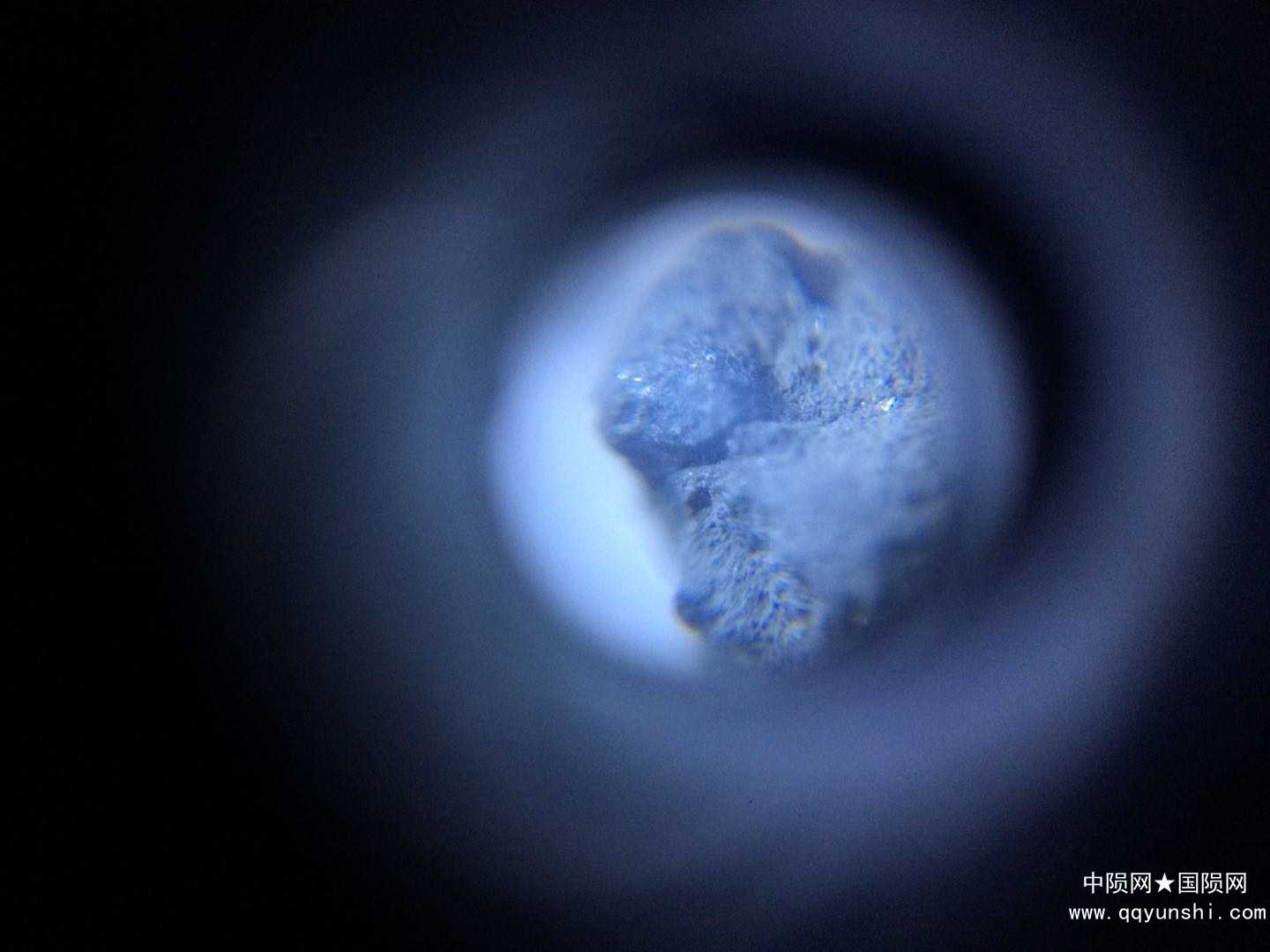 细节图片1