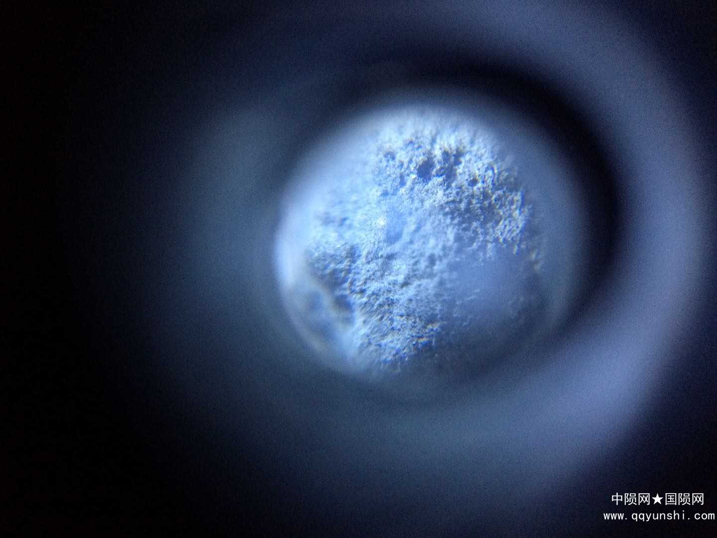 细节图片4