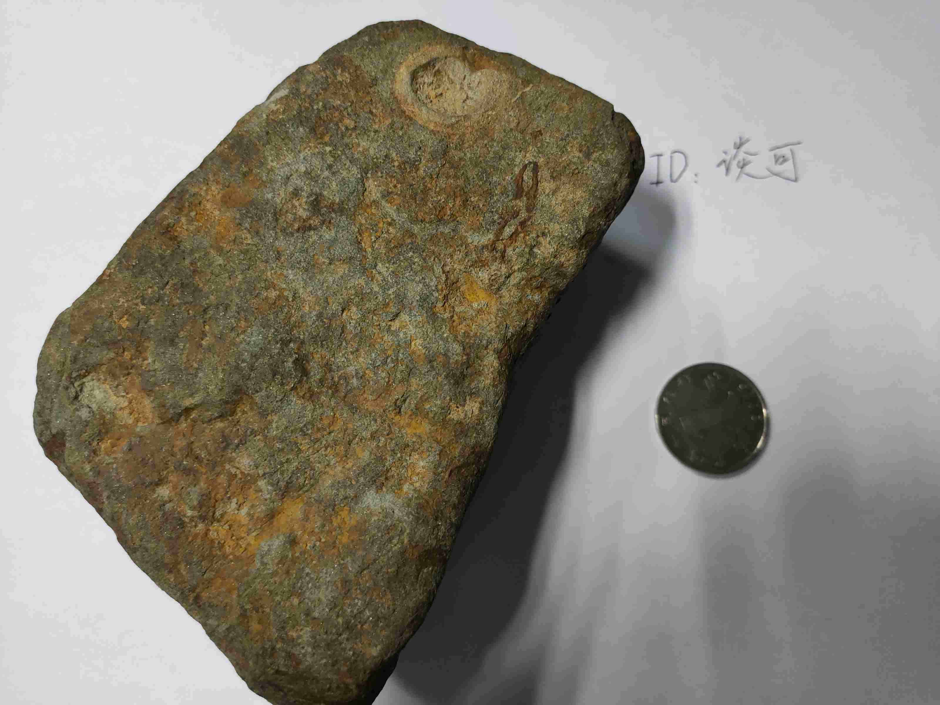 微信图片_20201011214827 (1).jpg