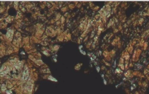 Screenshot_20201015_115503.jpg