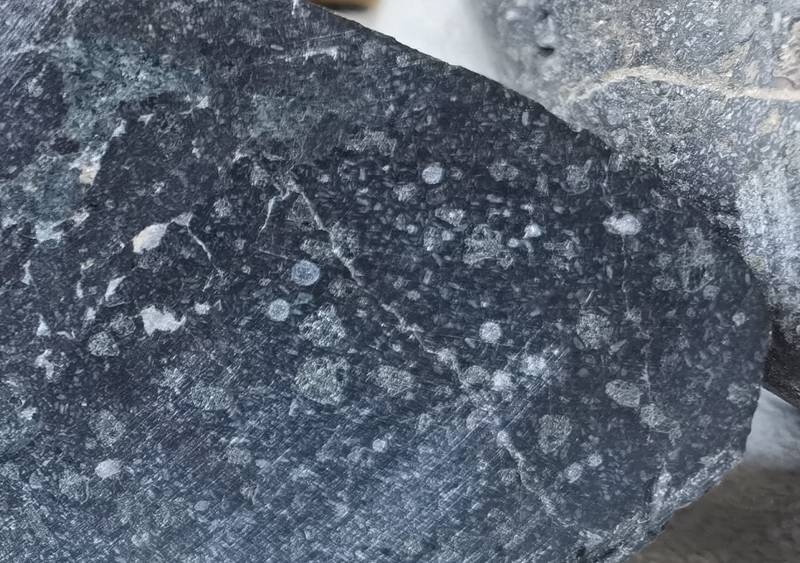 切面A局部片子