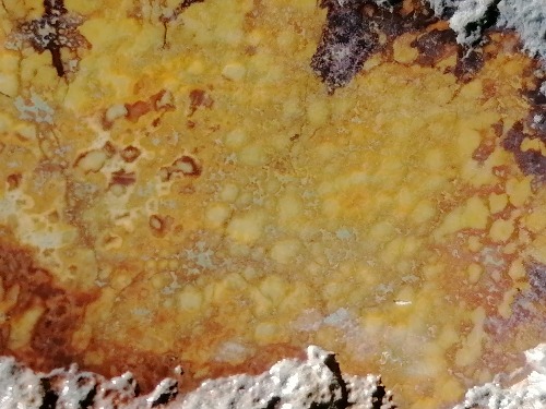 IMG_20201016_090835.jpg