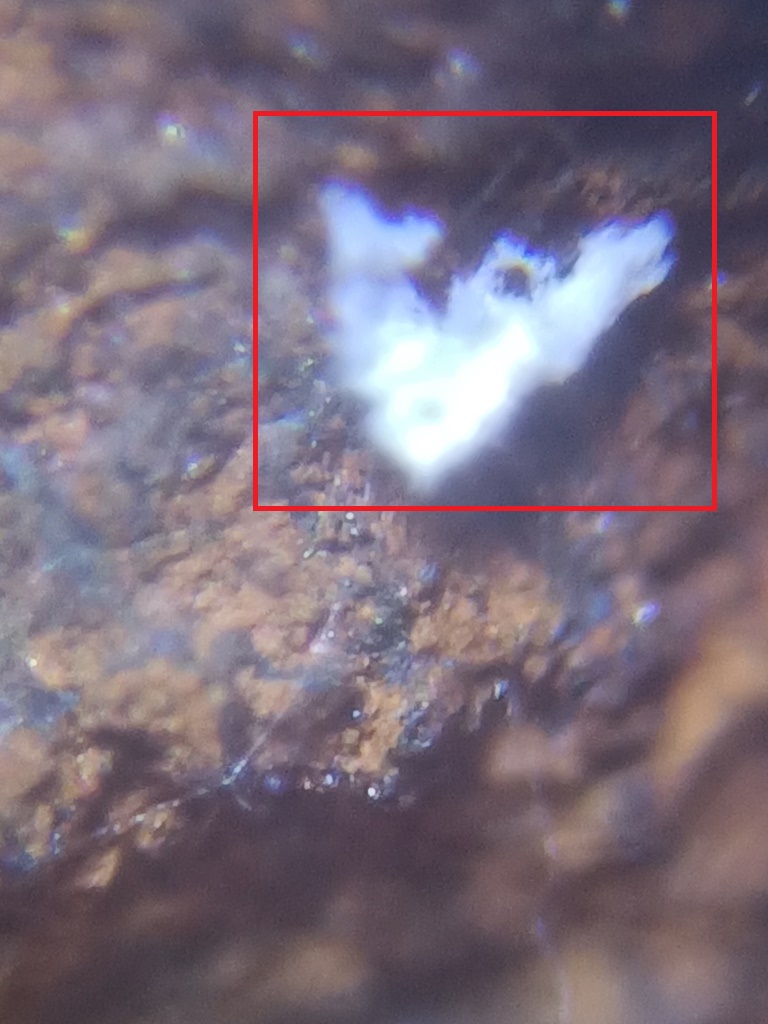 晶体被吹散了？