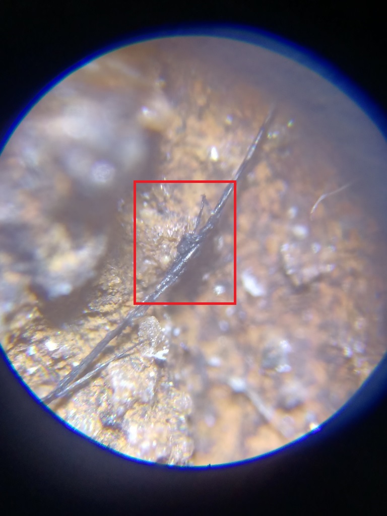怎么被熔融物污染的？