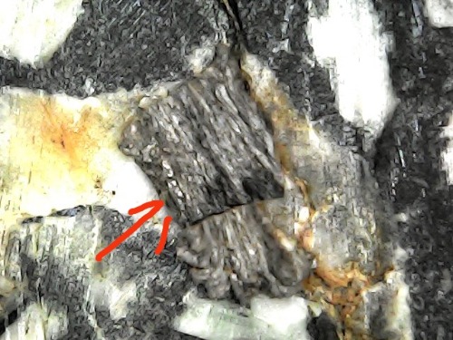 mmexport1603034170390.jpg