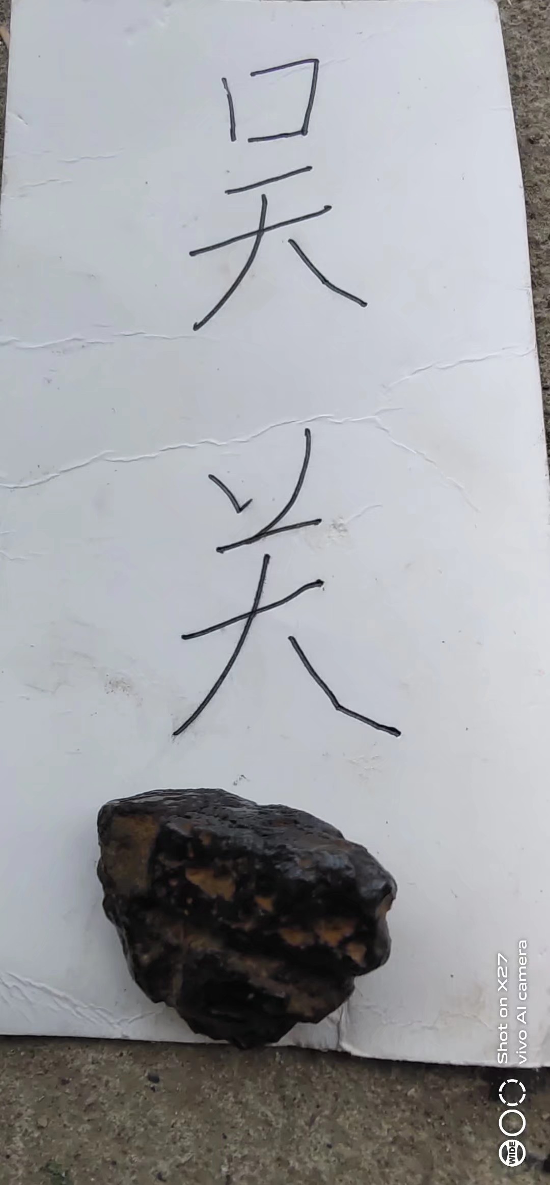 1610254219833.jpeg