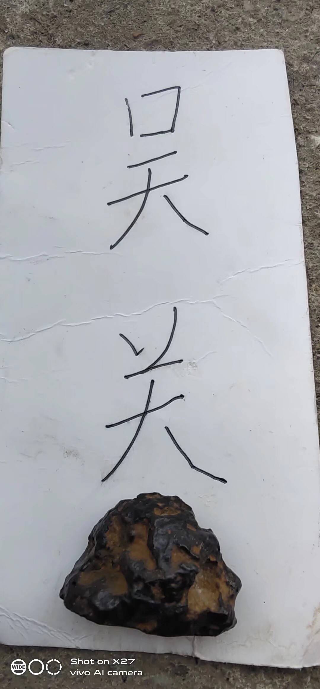 1610254212915.jpeg