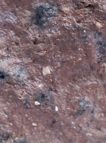 JPEG_20210110_134408_.jpg